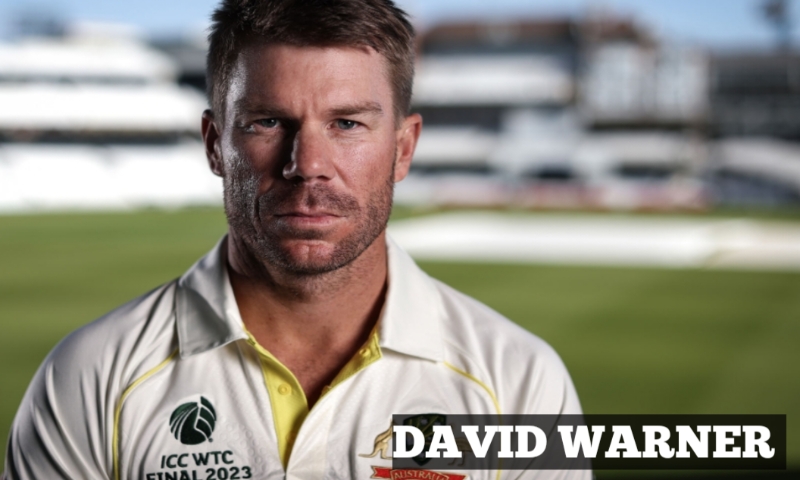 डेविड वार्नर आस्ट्रेलियाई सलामी बल्लेबाज